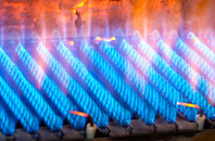 Bozen Green gas fired boilers